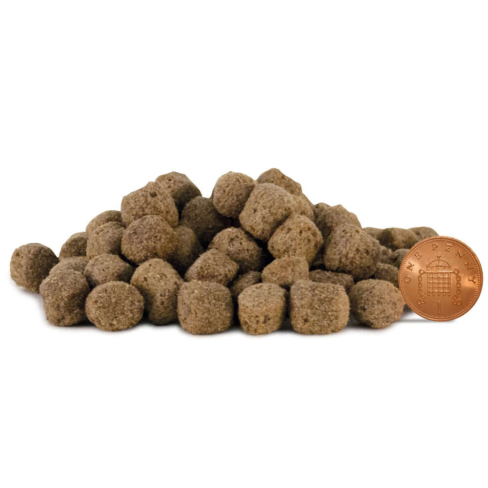 Lamb senior hot sale dog food