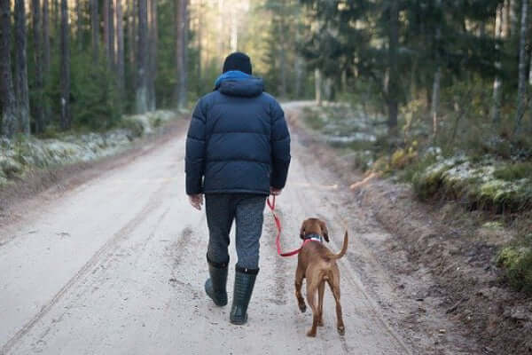 Your Winter Walkies – Motivate your mutt while out and about