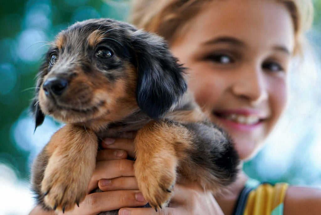 5 ways to help puppy love last a lifetime