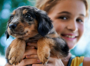 5 ways to help puppy love last a lifetime