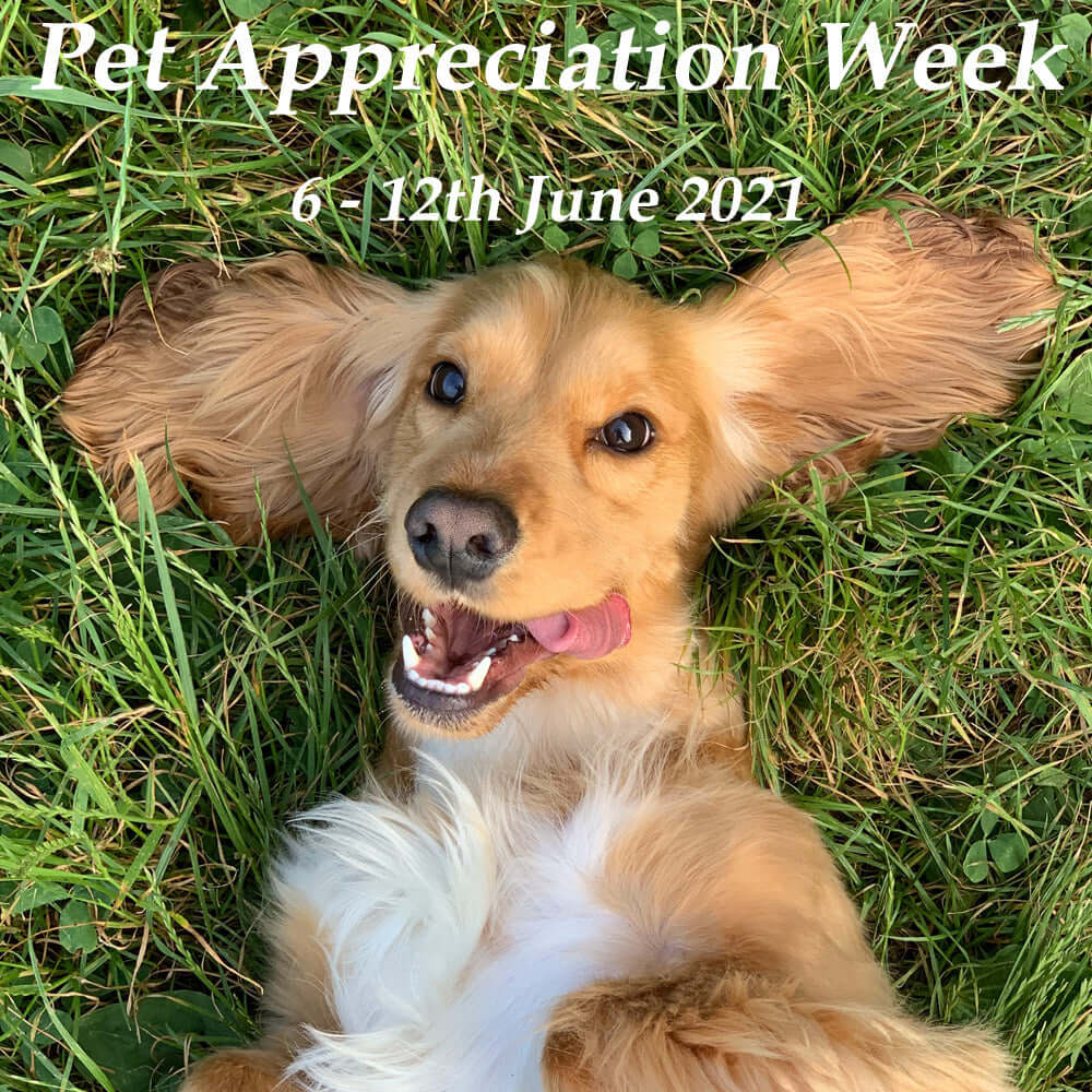 pet-appreciation-week
