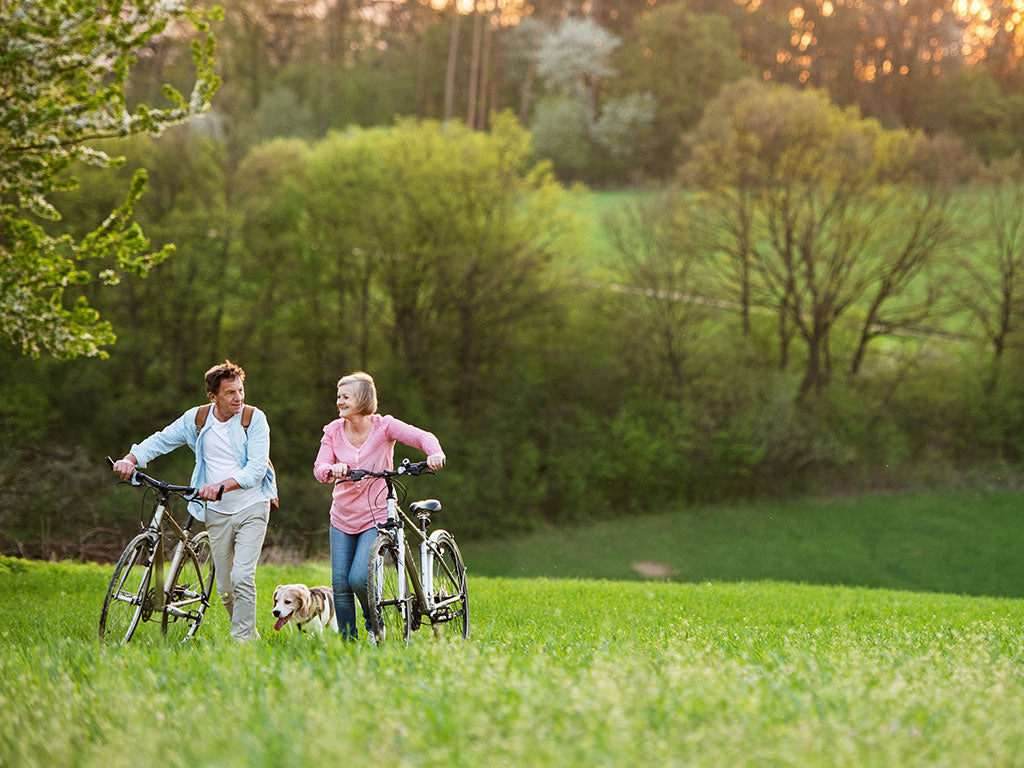 couple walking dog on fields with bikes