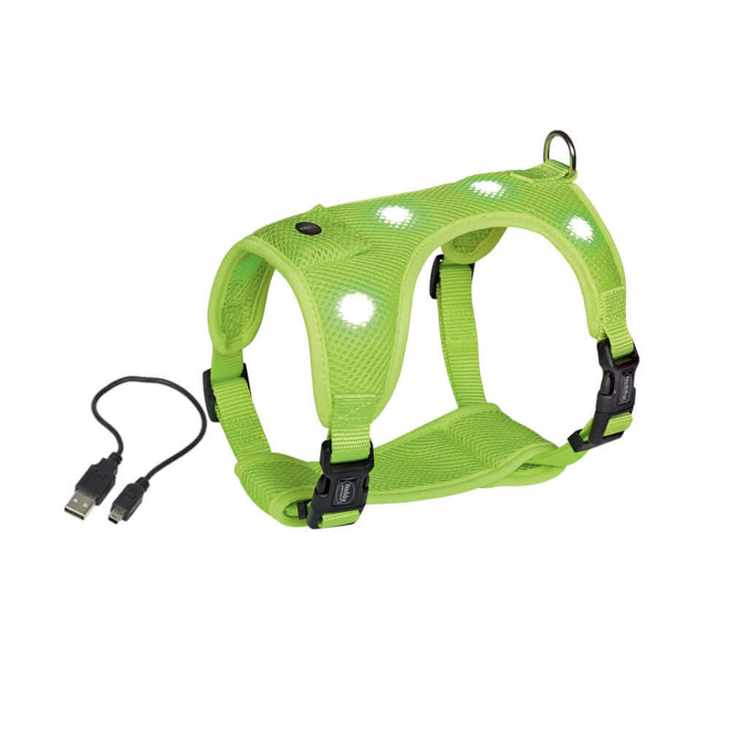 Nobby LED Harness yellow