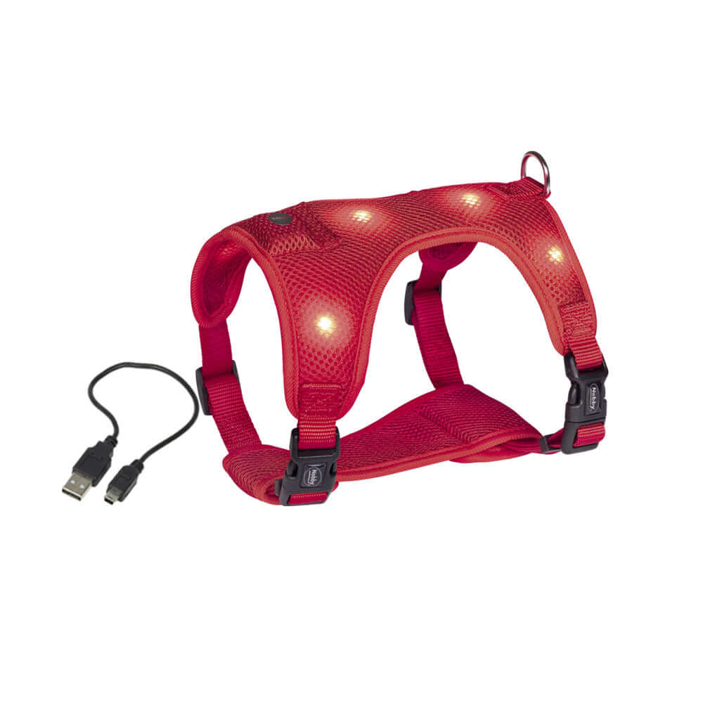 Nobby LED Harness Red