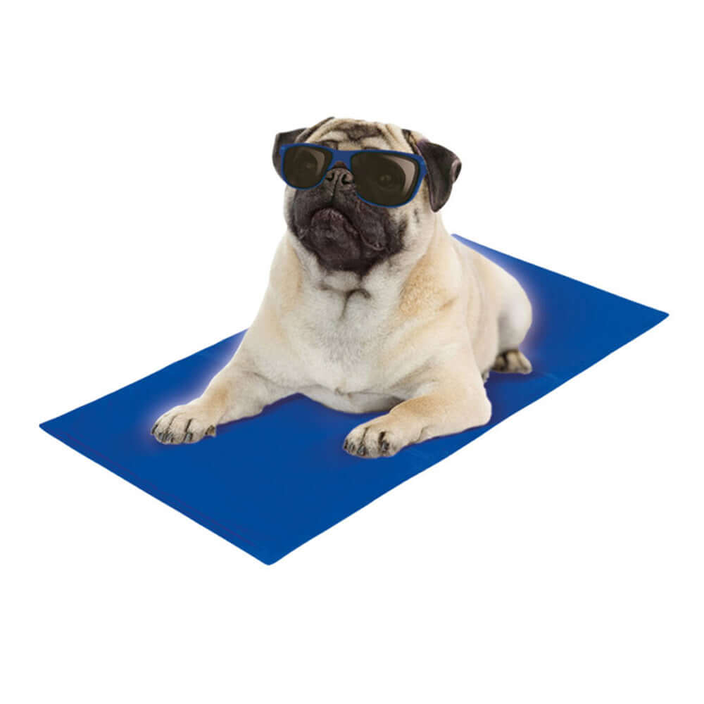 Nobby Cooling Mat in blue with dog sitting on it
