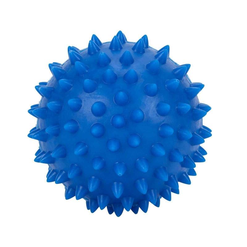 Nobby Spiky Rubber Ball Dog Toy